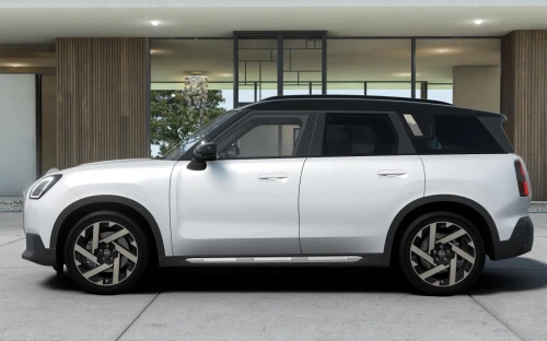 Countryman - Zdjęcie 3