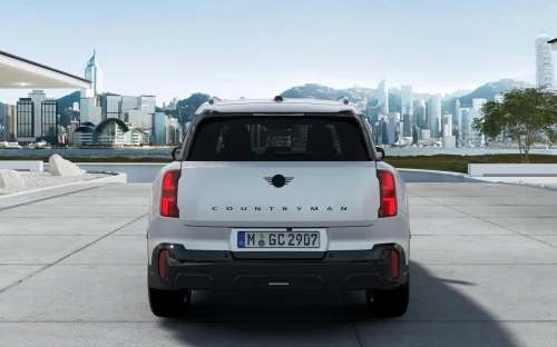 Countryman - Zdjęcie 3