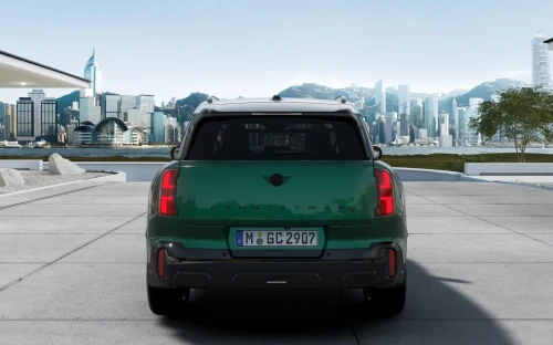 Countryman - Zdjęcie 3