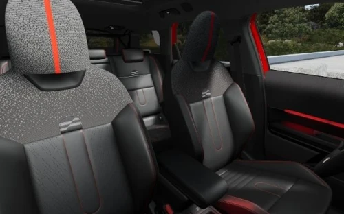 Countryman - Zdjęcie 4