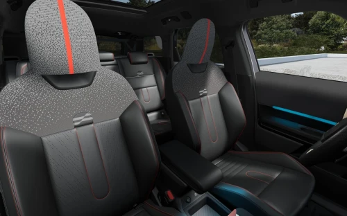 Countryman - Zdjęcie 4