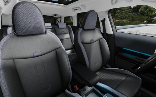 Countryman - Zdjęcie 4