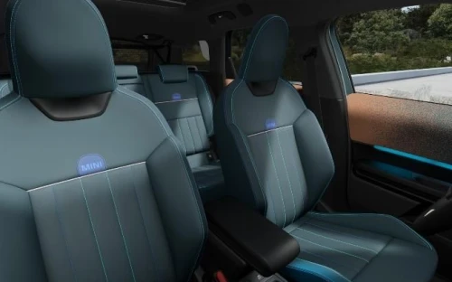 Countryman - Zdjęcie 4