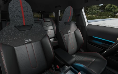 Countryman - Zdjęcie 4