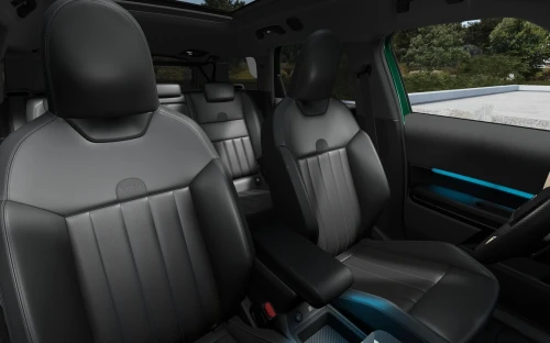 Countryman - Zdjęcie 4