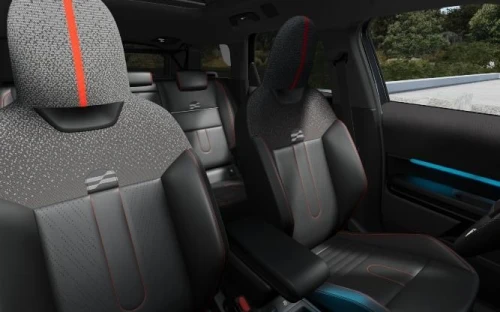 Countryman - Zdjęcie 4